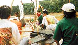 KRU-keADILan RILEKS : Rafting in Sarawak 